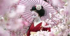 Тур в Японию - цветение сакуры