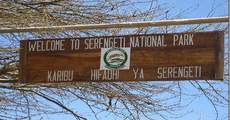 Национальный Парк Серенгети 