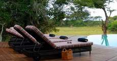 Phinda Forest Lodge 5*