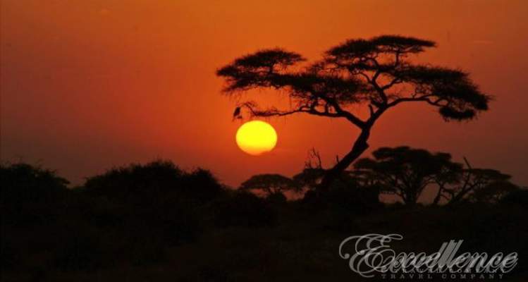 Красоты Африки