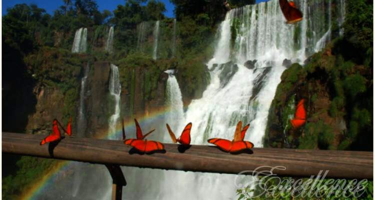 Рио-де-Жанейро, Водопады Игуасу и отдых в Прайа-ду-Форте