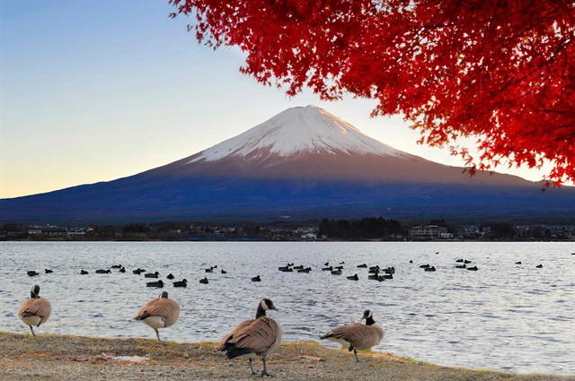 гора Фудзи в Японии
